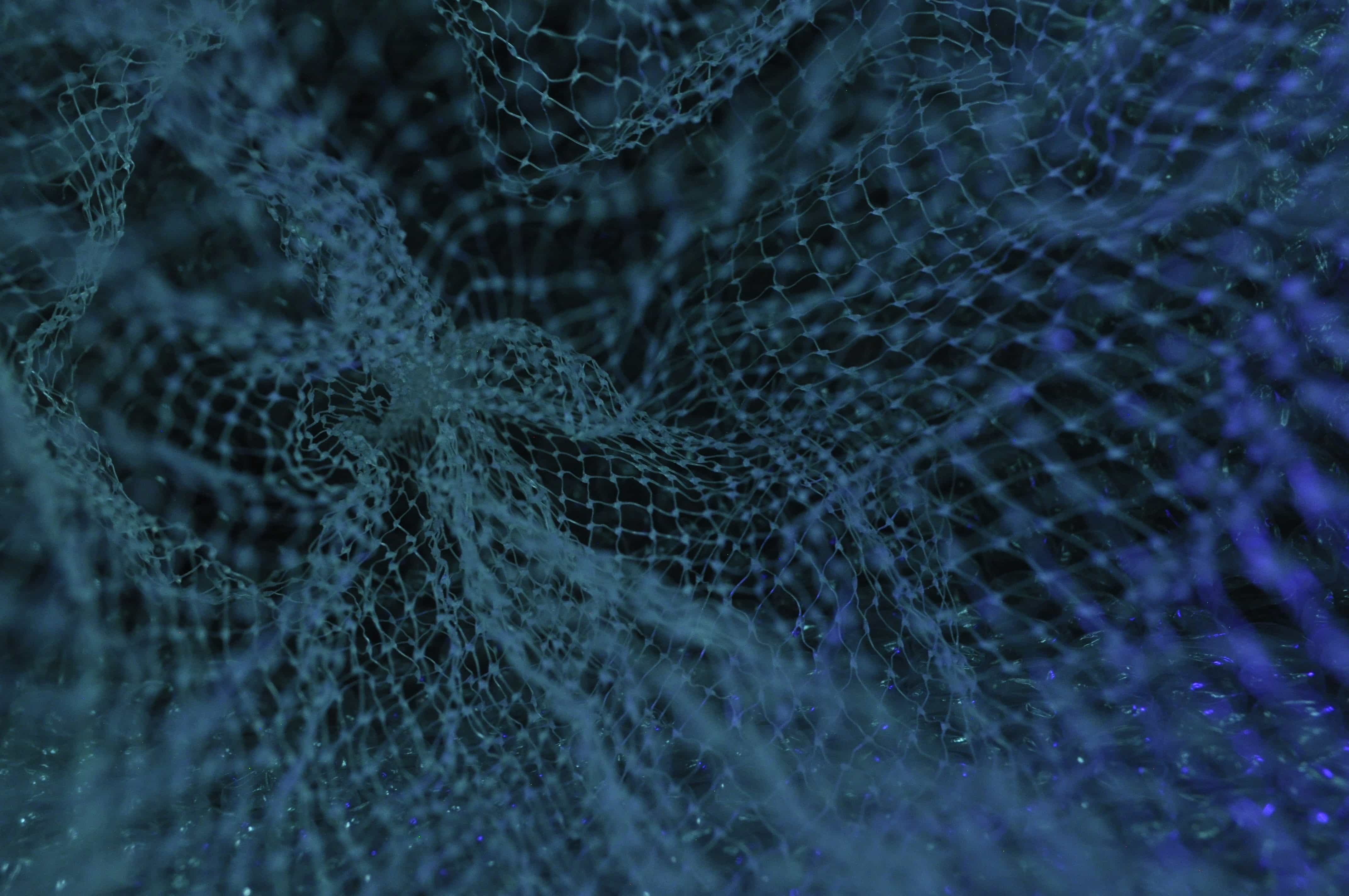 AI Integration